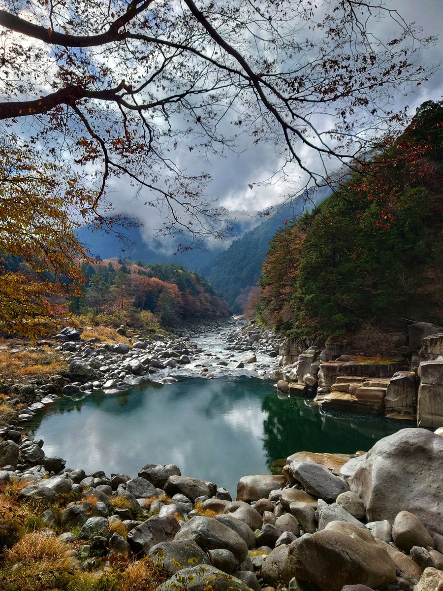 [Blog] Petit bilan de 2023
Je n'ai pas écrit autant que je voulais cette année mais je voulais quand même revenir sur mon année.

Bonne fêtes à toutes et à tous !

carnetdunespatule.wordpress.com/2023/12/27/pet…
