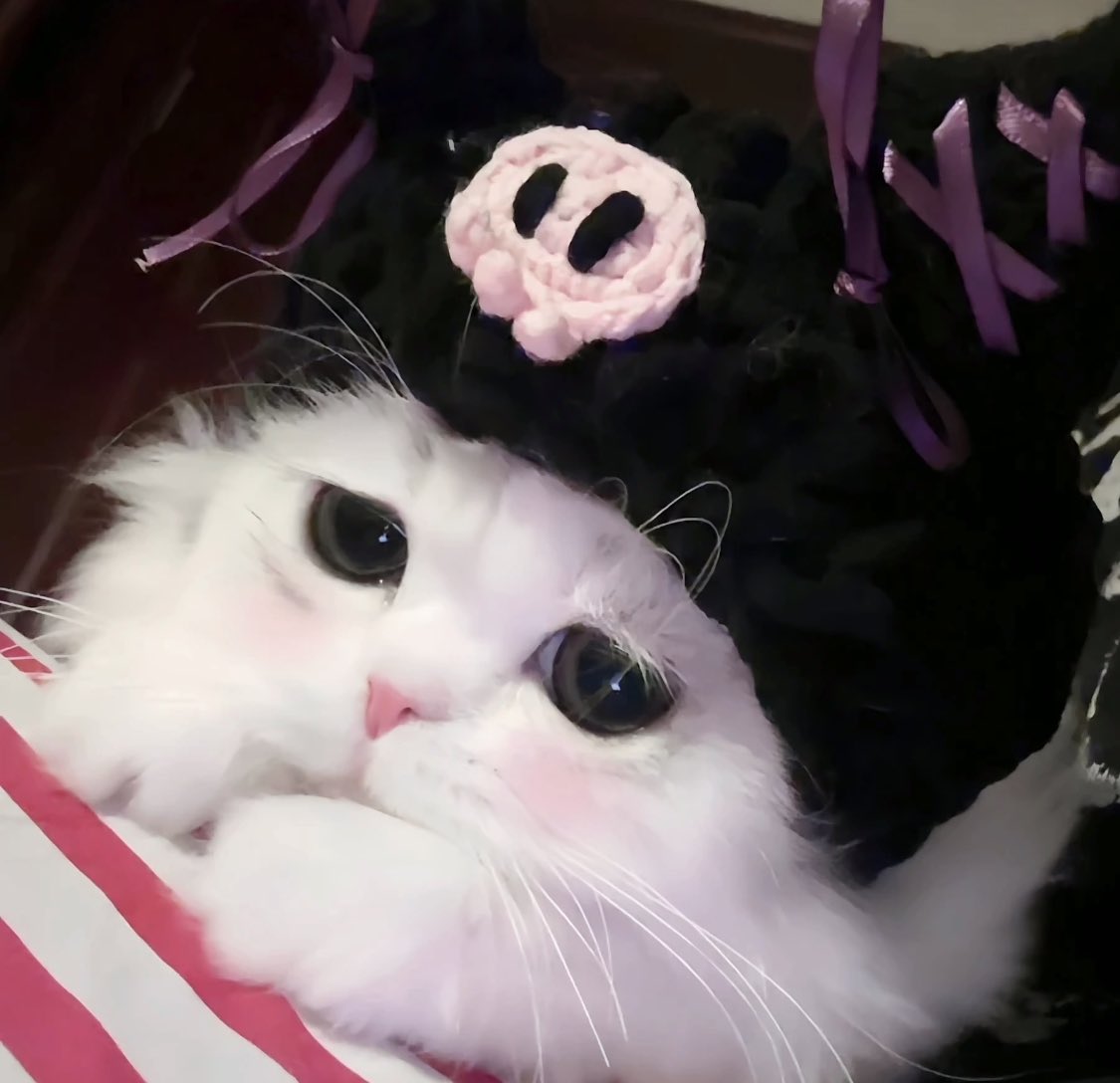 piinkimi_'s tweet photo. me when no attention https://t.co/lGmTwyHDfu