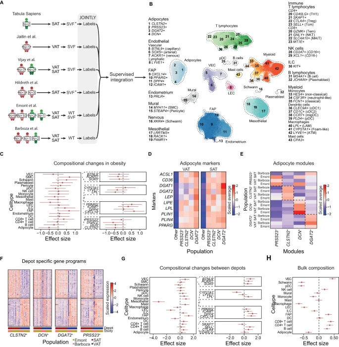 DrFAlzaid's tweet photo. Latest curated papers👇🏽
📷#JOINTLY: interpretable joint clustering of #singlecell transcriptomes
📰#ChREBP is activated by reductive stress and mediates GCKR-associated #metabolic traits.
🎲#Neutrophils only die twice
🔗https://t.co/oRmhc0vbz4
🙏🏽Thx @Bims_BiomedNews https://t.co/i6fE3wMvOi