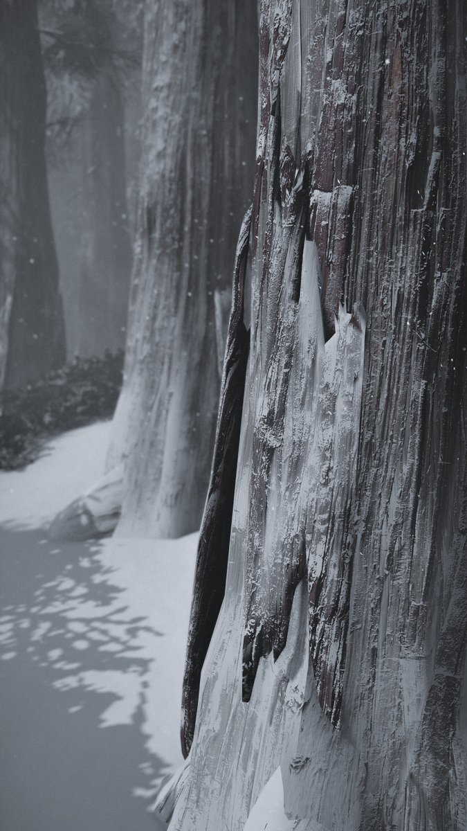amich_vp's tweet photo. Ghost of Tsushima
#VirtualPhotography
#TsushimaTuesday | #AWXmas https://t.co/EiASt2tXLk