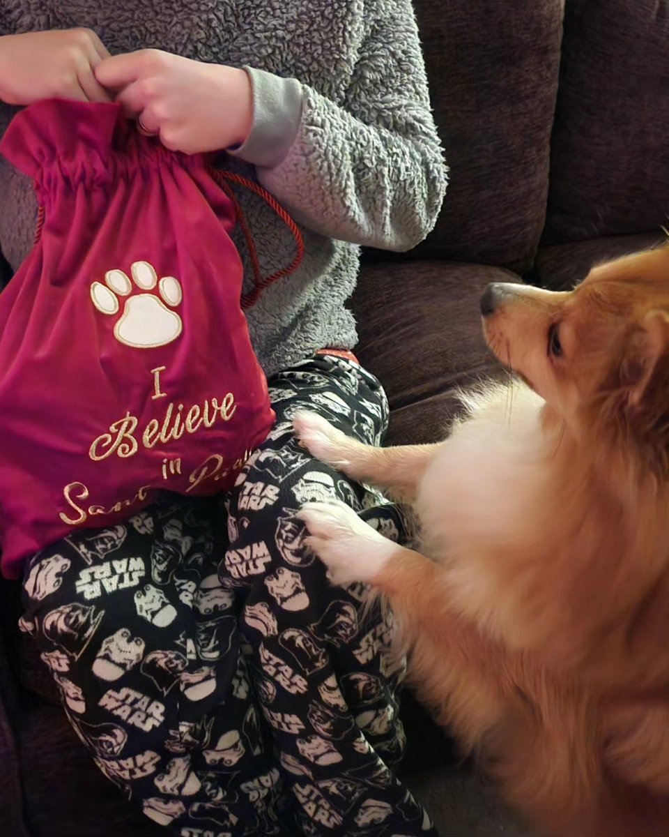 We've all been very lucky this Christmas 🎄

#northwest #love #home #lifestyle #cumbria #lakedistrict #family #travel #life #couples #disneyfamily #husbandandwife #dogmom #adventure #dailylife #ukfamily #northwest #christmas2023 #christmastree #christmaspresents #santapaws