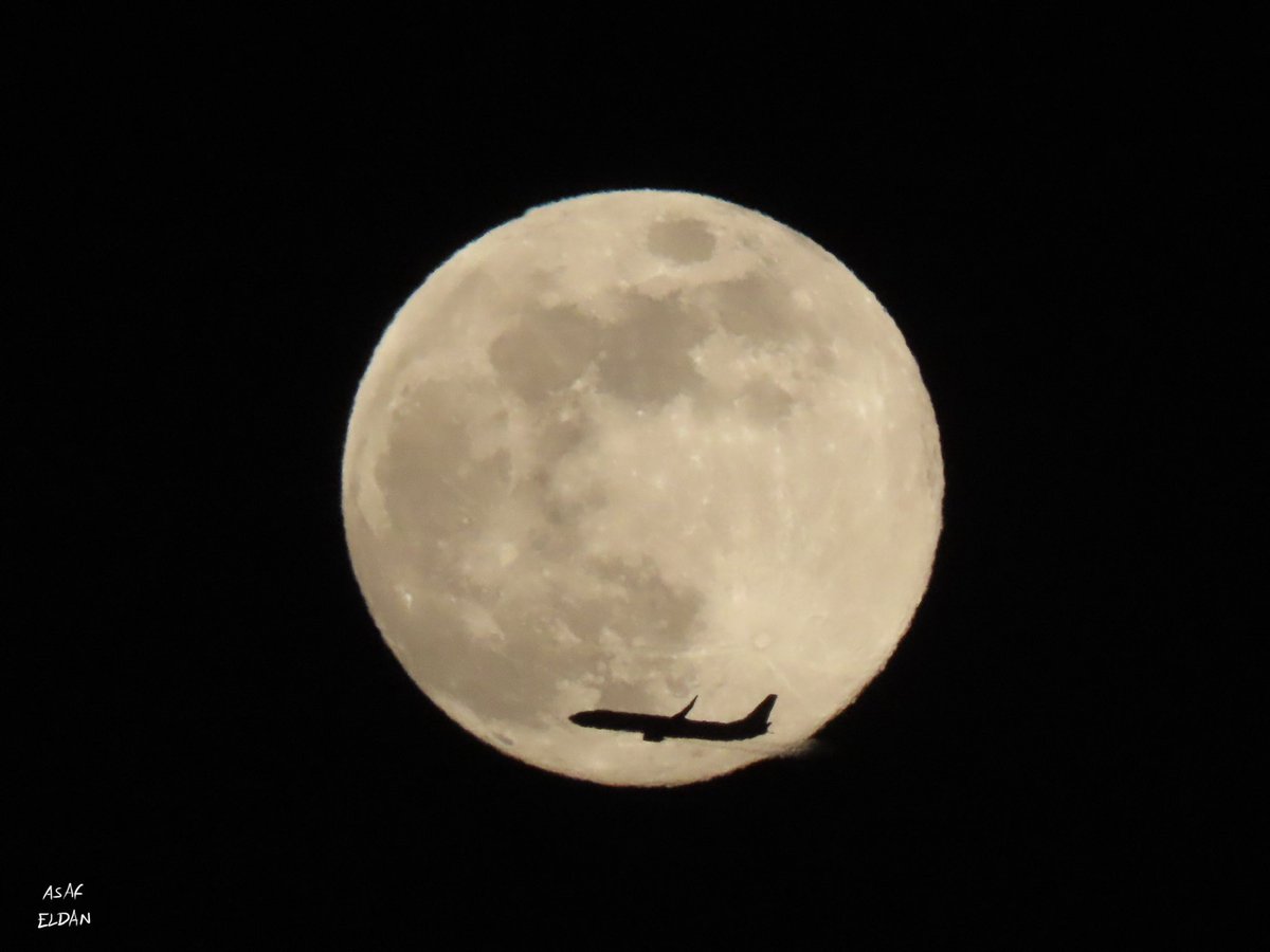 #Moon light 
#ELAL #IsraeliAirlines #Boeing #B737-958(er) 4X-EHC climbing out from #TLV #TelAviv #Airport #LLBG #avgeek #aviation #planespotting