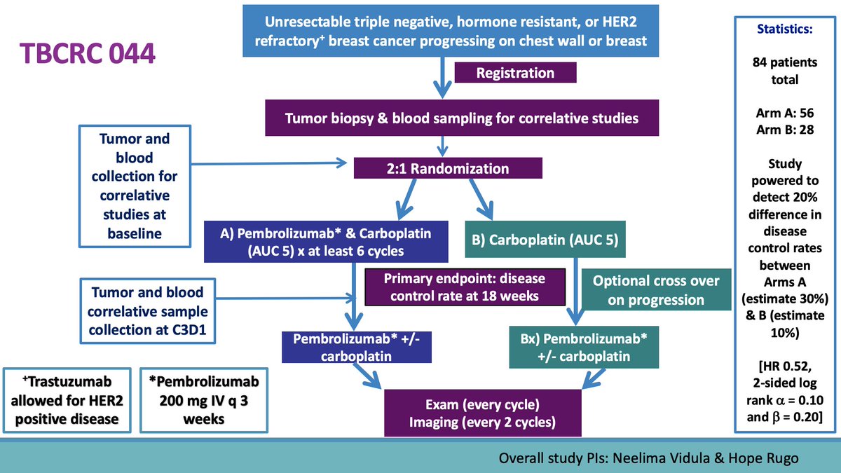MGH Breast Oncology (@mghbreastonc) on Twitter photo 1/ Breast cancer with chest wall metastases is a devastating disease with high unmet need. <a href="/TheTBCRC/">Translational Breast Cancer Research Consortium</a> #TBCRC044 clinical trial led by Dr. Neelima Vidula <a href="/MGHBreastOnc/">MGH Breast Oncology</a> and <a href="/hoperugo/">Hope Rugo</a> is currently enrolling patients. 1/ Breast cancer with chest wall metastases is a devastating disease with high unmet need. <a href="/TheTBCRC/">Translational Breast Cancer Research Consortium</a> #TBCRC044 clinical trial led by Dr. Neelima Vidula <a href="/MGHBreastOnc/">MGH Breast Oncology</a> and <a href="/hoperugo/">Hope Rugo</a> is currently enrolling patients.