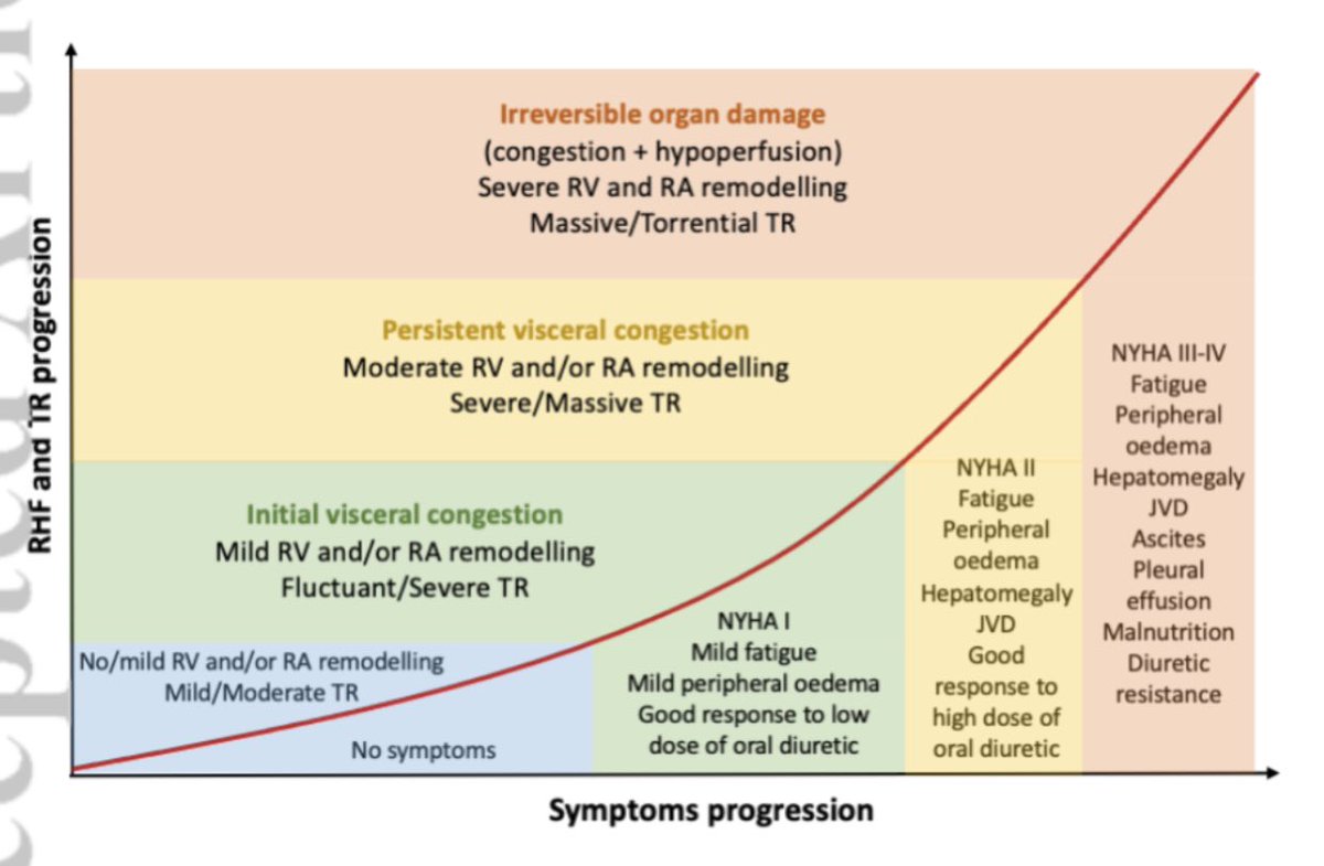 HanCardiomd's tweet image. Epidemiology, Pathophysiology, Diagnosis and Management of Chronic Right-Sided #HeartFailure and #Tricuspid Regurgitation. A clinical consensus statement of the #HFA and the #EAPCI of the @escardio 

onlinelibrary.wiley.com/doi/abs/10.100… 
@MarcoMetra @EJHFEiC @ESC_Journals