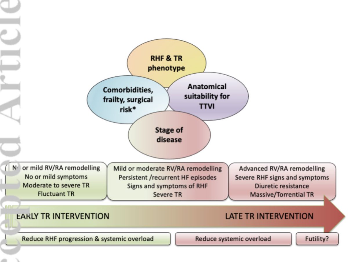 HanCardiomd's tweet image. Epidemiology, Pathophysiology, Diagnosis and Management of Chronic Right-Sided #HeartFailure and #Tricuspid Regurgitation. A clinical consensus statement of the #HFA and the #EAPCI of the @escardio 

onlinelibrary.wiley.com/doi/abs/10.100… 
@MarcoMetra @EJHFEiC @ESC_Journals