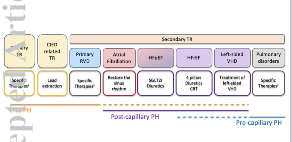 HanCardiomd's tweet image. Epidemiology, Pathophysiology, Diagnosis and Management of Chronic Right-Sided #HeartFailure and #Tricuspid Regurgitation. A clinical consensus statement of the #HFA and the #EAPCI of the @escardio 

onlinelibrary.wiley.com/doi/abs/10.100… 
@MarcoMetra @EJHFEiC @ESC_Journals