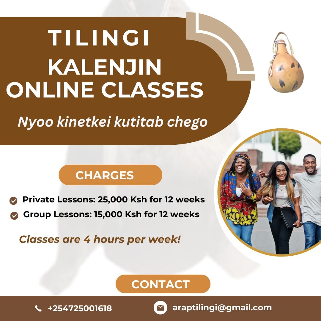 Tilingi 🐘 tweet media