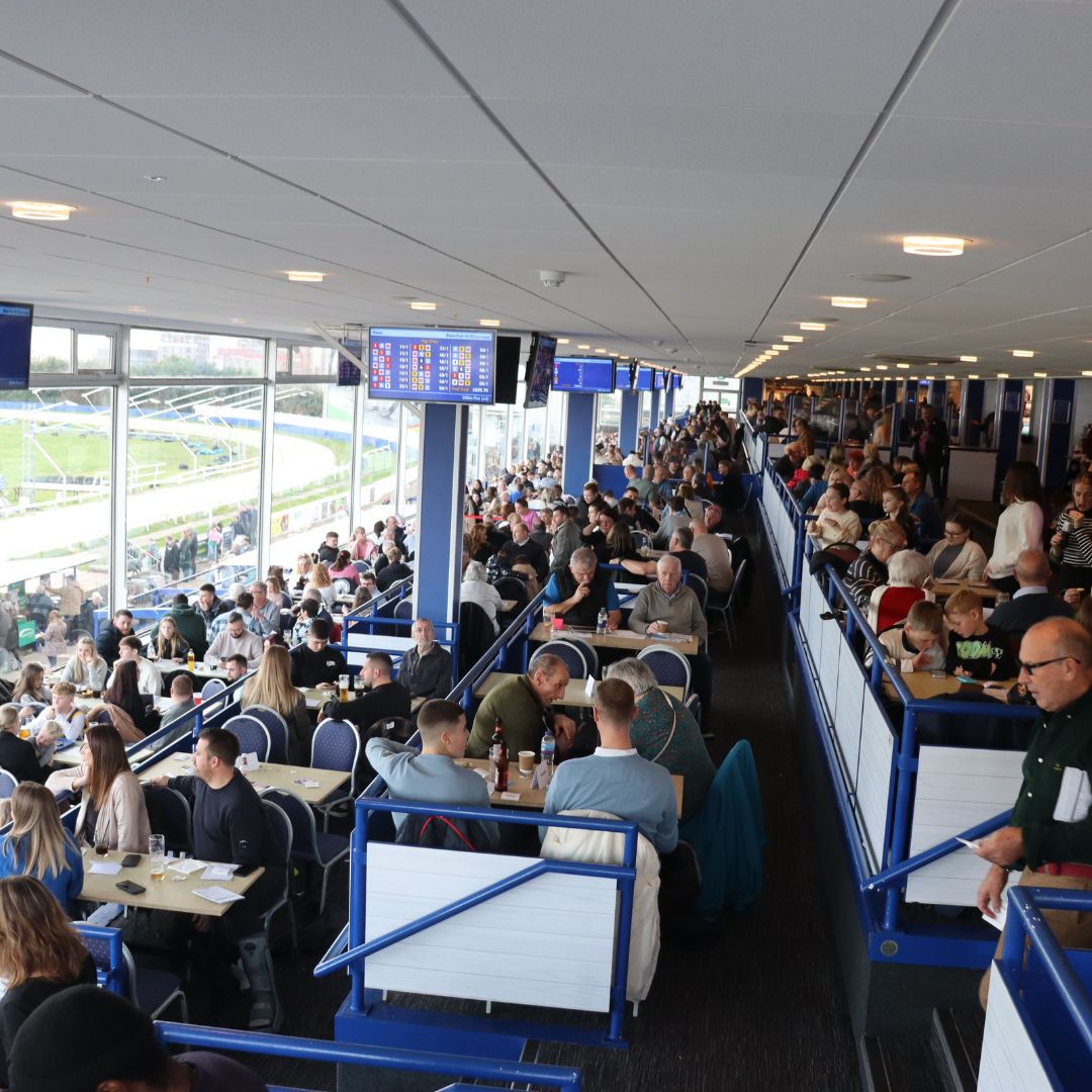 HoveGreyhounds's tweet photo. Boxing Day is a success here in Hove! Great food and an amazing atmosphere to watch those amazing dogs!🐾 ❤️ 
#boxingdaylunch #greyhoundracing https://t.co/yoIvulQpF8