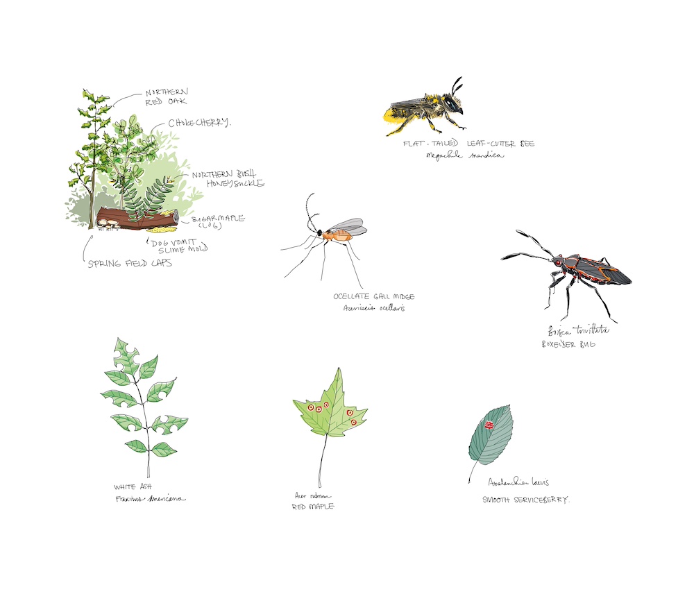 Ground Magazine tweet media