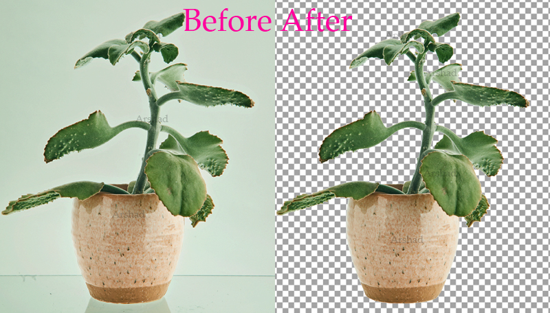 ClippingFloor82's tweet photo. Hello,
Are you looking for a professional Product photo editor to edit your product's images? Yes, you are in the right area. please contact me here https://t.co/7H71IlUZJ8
arshadhosen2016@gmail.com
#photo #editing #ecommerce #photoediting #commerce #photooftheday #photography https://t.co/4ZBIEmAvc1
