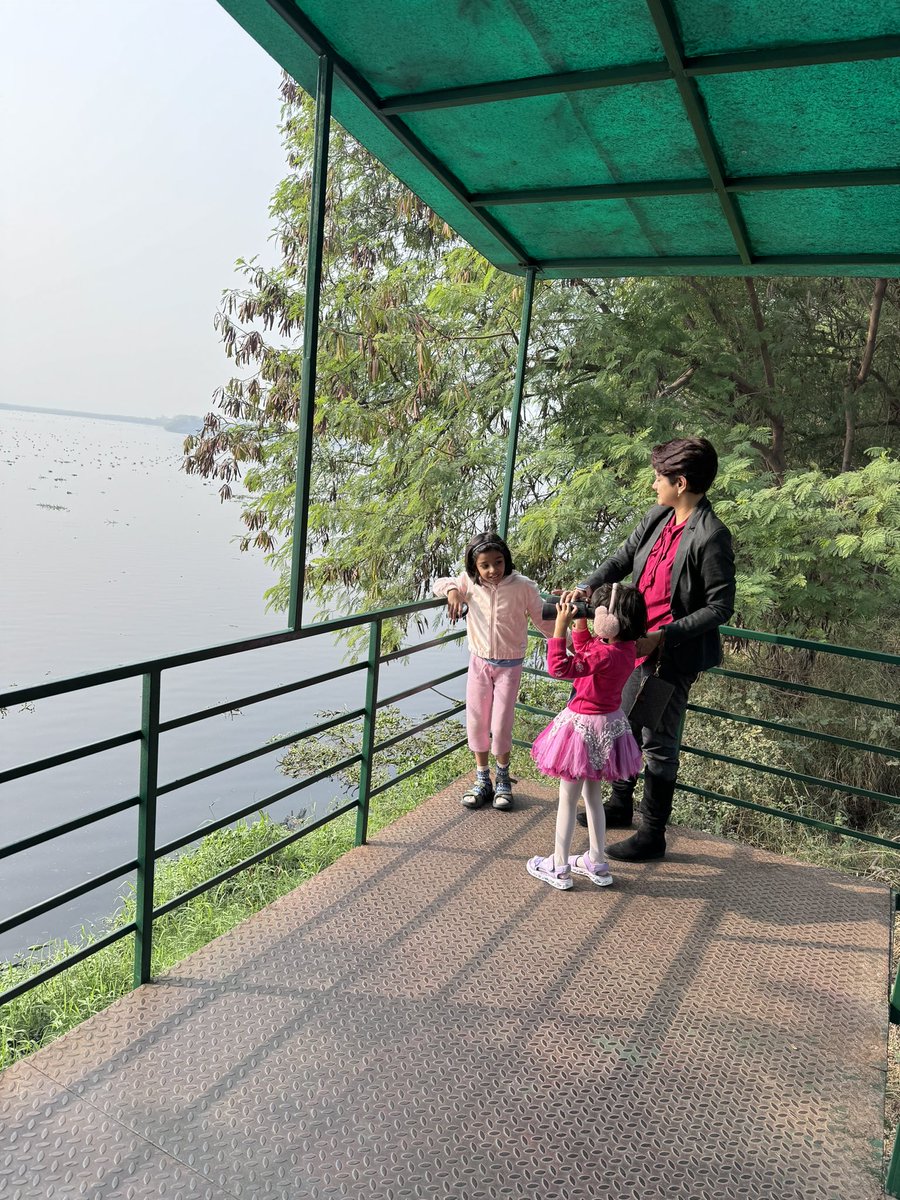 dr_ankitaraj's tweet photo. #girlsday at #OkhlaBirdSanctuary... #kids #imagination is #AmaZing... #onedaughter saw #biggestlion of #asia and the #otherdaughter saw #wolf while #birdwatching 😅 https://t.co/DjsSSiyq41