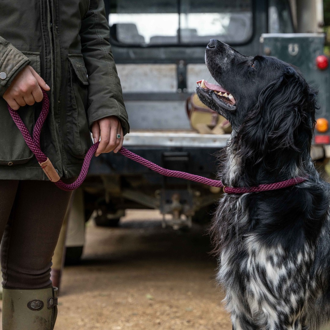 RuffTumbleCoats's tweet photo. Blow the cobwebs away, walk off the turkey and test out your Ruff and Tumble pressies on your Boxing Day ramble!
#ruffandtumble #dryingcoats #bestdryingcoats #dogdrying #dogwet #dogcold #colddogs #wetdogs #smellydogs https://t.co/T2rsSBVOT0