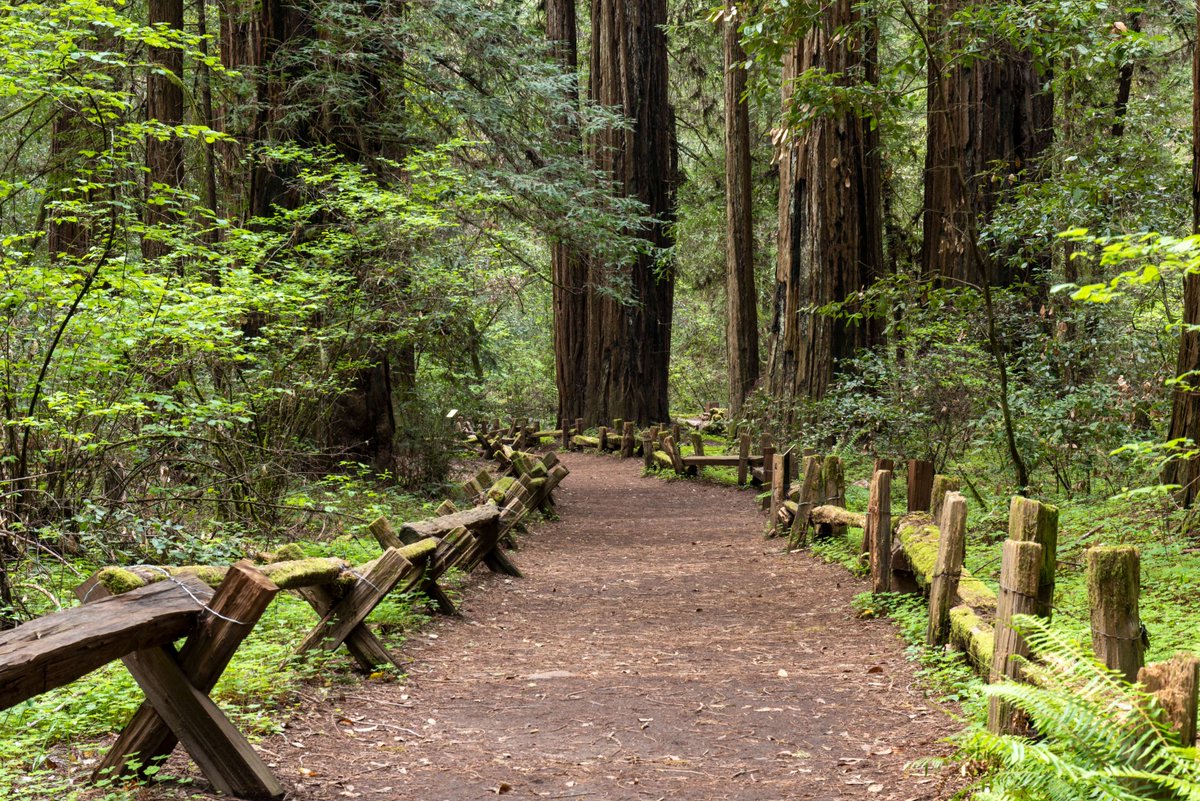 CAStateParks's tweet photo. New year, new adventures! California State Parks invites you to #FirstDayHike on Jan 1. With interactive maps and over 80 guided hikes, find the perfect trail near you. Dress warmly, pack snacks, and share your journey!

To learn more, visit https://t.co/R3JuqF65x9. https://t.co/sdJU666GHN