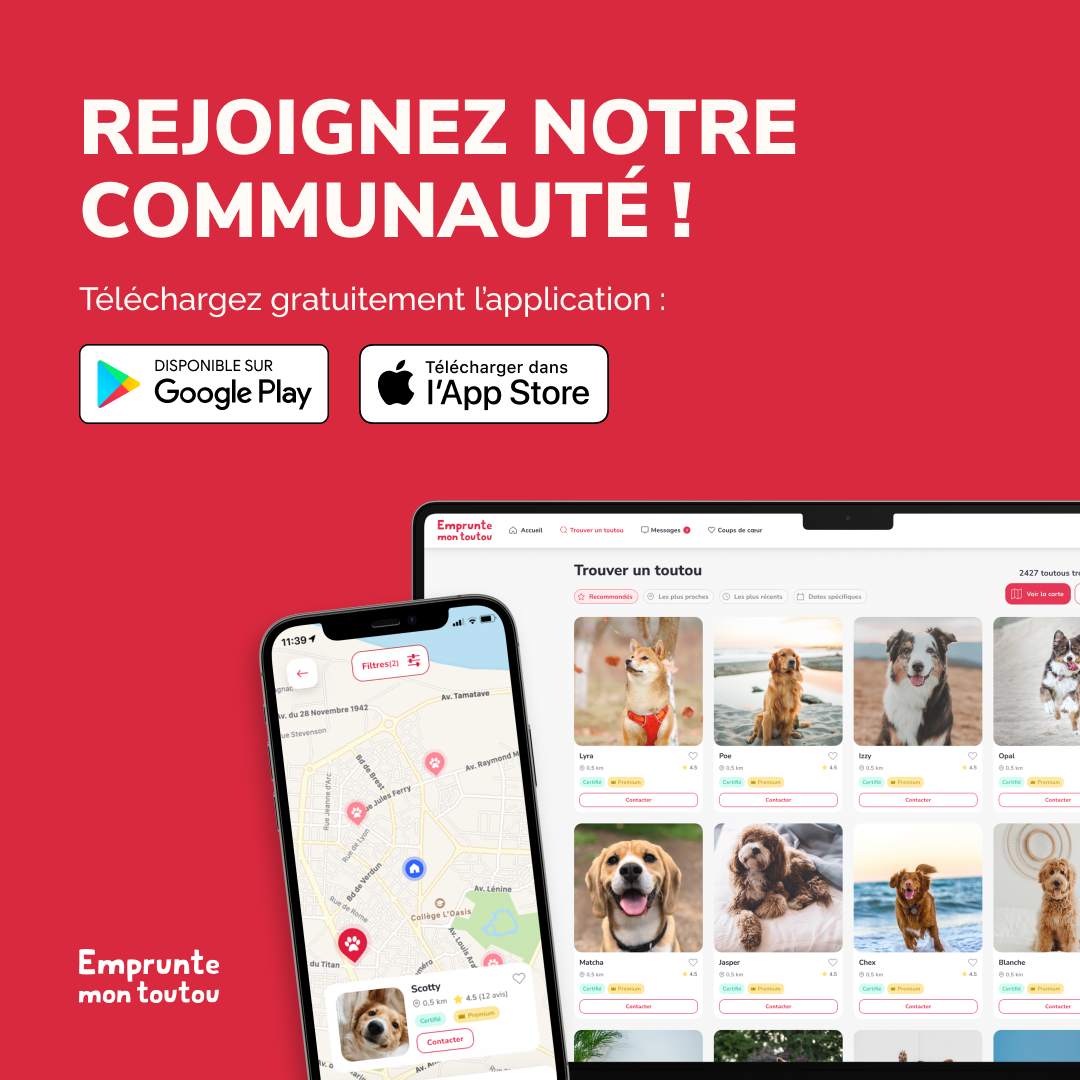 Un grand merci à vous tous pour faire de cette communauté un lieu si spécial et aimant ! 🌟

Découvrez comment "Emprunte Mon Toutou" peut ajouter encore plus de joie et de lien avec nos amis canins. 🏞️🎾

Visitez notre application pour en savoir plus 👉 empruntemontoutou.com