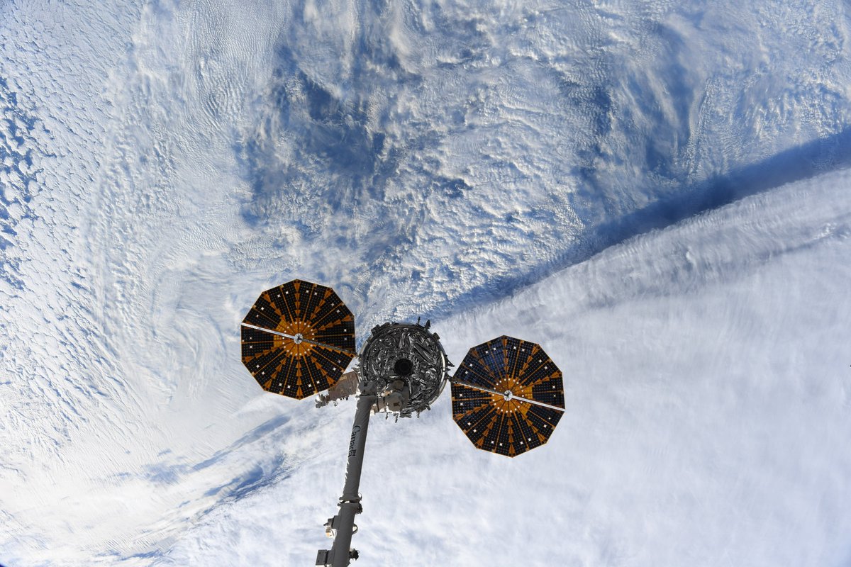 lunarloral's tweet photo. Christmas 2023 weekend – one for the books.

Friday, the Expedition 70 crew and ground team alike got our collective wish for two cargo ships to depart space station before the holidays. NG-19 was released midday carrying all our trash from the past six months, and will orbit Earth for about two weeks before burning up on reentry. Around the same time, SpX-20 splashed down in the Gulf of Mexico loaded with science and station hardware, after undocking late Thursday night. Watching free flying vehicles in space is one of my favorite things to see up here - a combination of precision, grace, and beauty against one of the most dramatic and beautiful backdrops possible. A huge congratulations to everyone who worked these missions!

Saturday kicked off three off-duty days, bringing perhaps the best gift any astronaut onboard station could receive – that of time, a rare and precious commodity when most of our days are so full of work. On Christmas Eve, @AstroJaws did an awesome job decorating NOD2 and hanging stockings for each of us, and we had a nice evening hanging out together and watching part of the traditional American classic “National Lampoons Christmas Vacation.” Christmas Day was peaceful – a quiet morning of breakfast and some music by the tree to start, Christmas cookie decorating and a big midday feast later. Getting to share the holiday with my crewmates was both special and fun, as was chatting with the team in Mission Control Center, who gave up their own holiday weekends to support us.

Best of all, I got a new baby nephew. Watching both my siblings become parents this year has been one of my greatest joys of 2023, and I can’t wait to help introduce my niece and nephew to this incredible planet. 💙

Wishing everyone on Earth a peaceful last week of 2023!