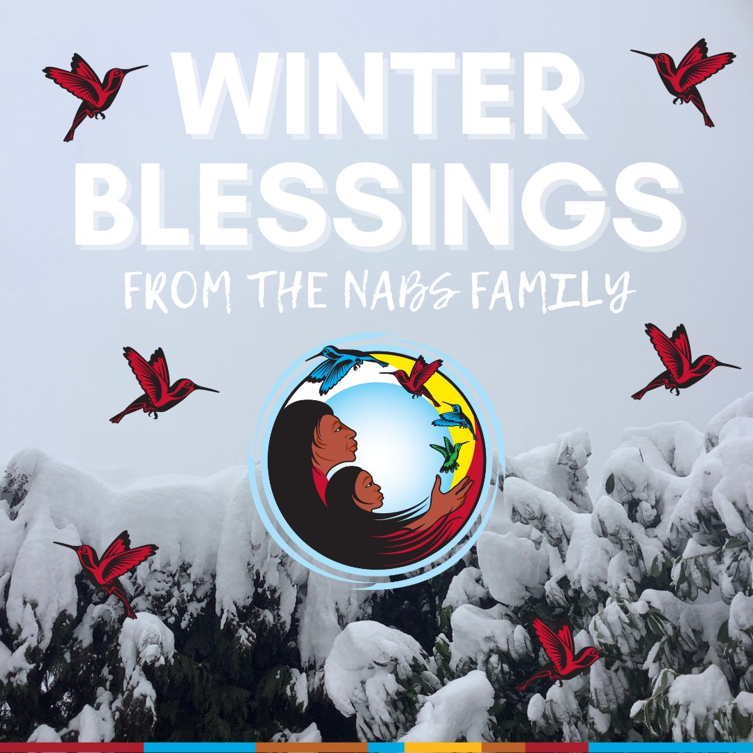 Winter Blessings from our NABS family to yours! We hope all our relatives find warmth, comfort, and joy this season. In this time of winter reflection, we invite you to check out our healing-informed resources for self-care toolkit linked in our bio.