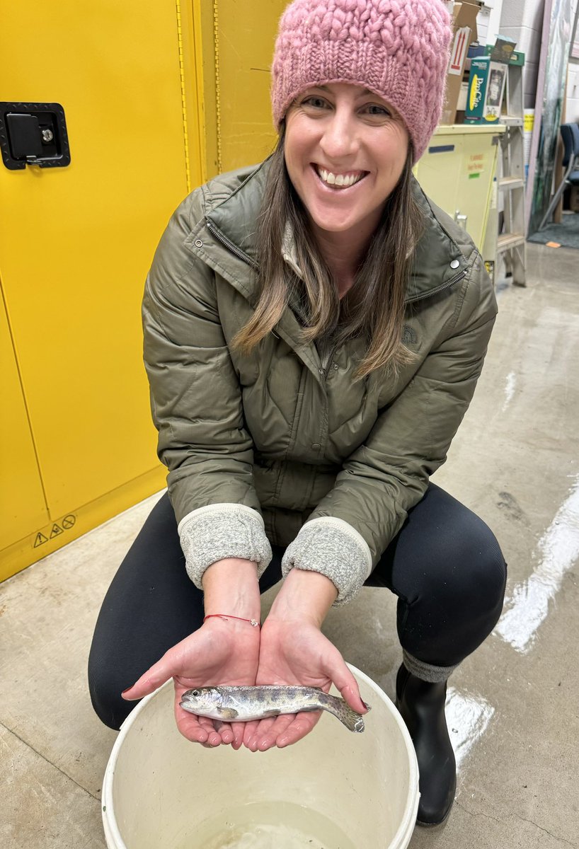 SolomonRDavid's tweet image. WAIT, are we a #TroutLab now too??!! Because yeah, #GarLab also inherited a bunch of Rainbow Trout!

Although her first time holding a trout, maybe it’s @caseyelizabetha’s influence (works for @TroutUnlimited). Time to team up with @TUScience?