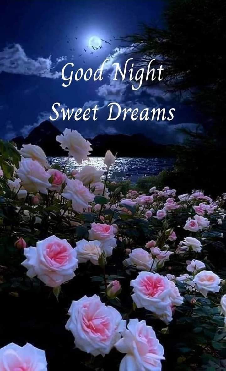 Good night
Stay blessed💞
Fb💯
@1Mss_0
<a href="/_234_D/">Hinaa</a>
<a href="/CT_786/">Ch Tayyab Mughal</a>
<a href="/M_Ar37/">Malikⁱᴾⁱᵃⁿ</a> 
@shy_ssy
@dr_nimla
<a href="/A_Awan1/">Engr Ansar Awan</a>
<a href="/M___ss5/">Mishal</a>
<a href="/5kshf/">syed kashif</a>
<a href="/Unsol/">Unsolved: Mysteries of History</a>
<a href="/Sha__A01/">Shahreena</a>
@Rahi_56
@Al__mra
<a href="/Zoya_Tline/">ZoYa_Tline🖤</a>
@ZainSays8
<a href="/ihassanrai/">ᴴᵃˢˢᵃⁿ ᵕ̈</a>
<a href="/AamirChPTI/">مُحمد عَامِر اِسحاق چوہدری</a>
<a href="/kiwinizzel1/">Kiwi Patriot 🇳🇿🇸🇪🇺🇸🥊 🏈🏄🏽‍♂️ 🏌🏼‍♂️ MAGA</a>
@OfficeratKE
@AyeshooS
<a href="/kamelbslfj/">kamel كمال</a>
@MALIK__999
@haroonThinks
<a href="/GoodEv3rythings/">follow me, i follow-back🪷</a>