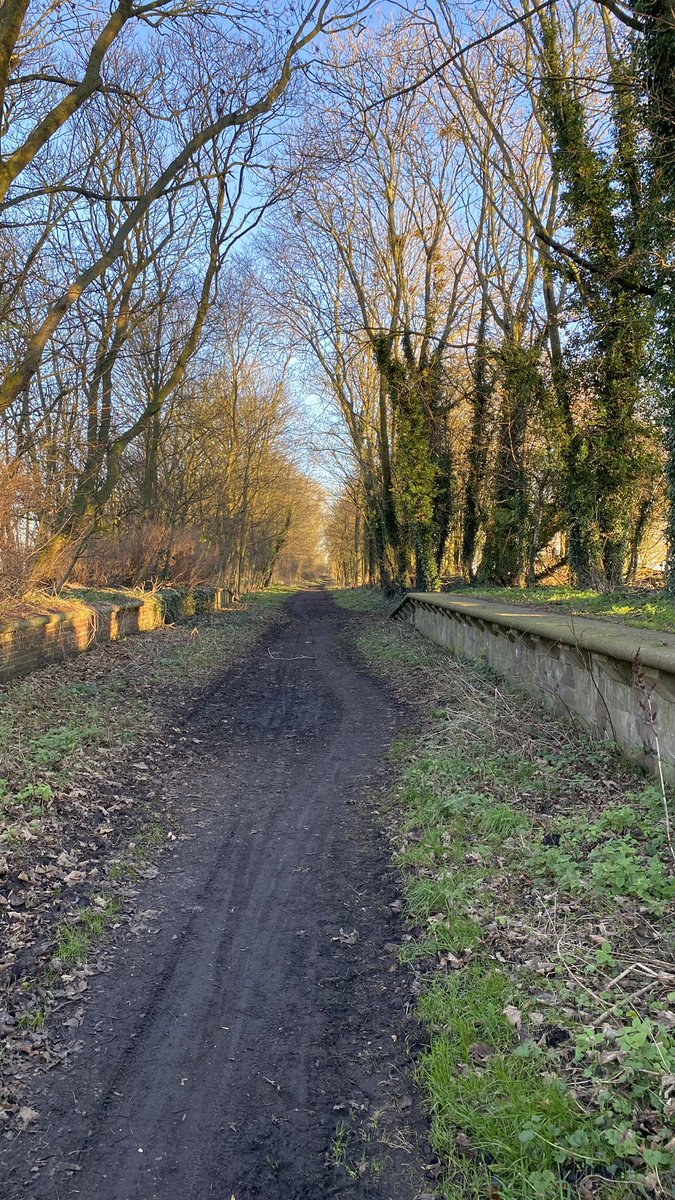 david_buffey's tweet photo. #TPTBoxingDayPhotos

Hull to Hornsea and former Whitedale Station. https://t.co/S4iSSbS8TB
