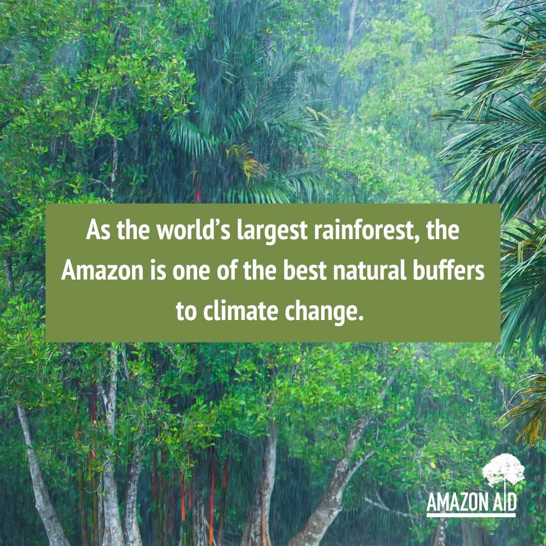 AmazonAidF's tweet image. Human-induced climate change, if left unchecked, may soon cause the Amazon to emit more carbon into the atmosphere than it absorbs.

amazonaid.org/why-should-you…