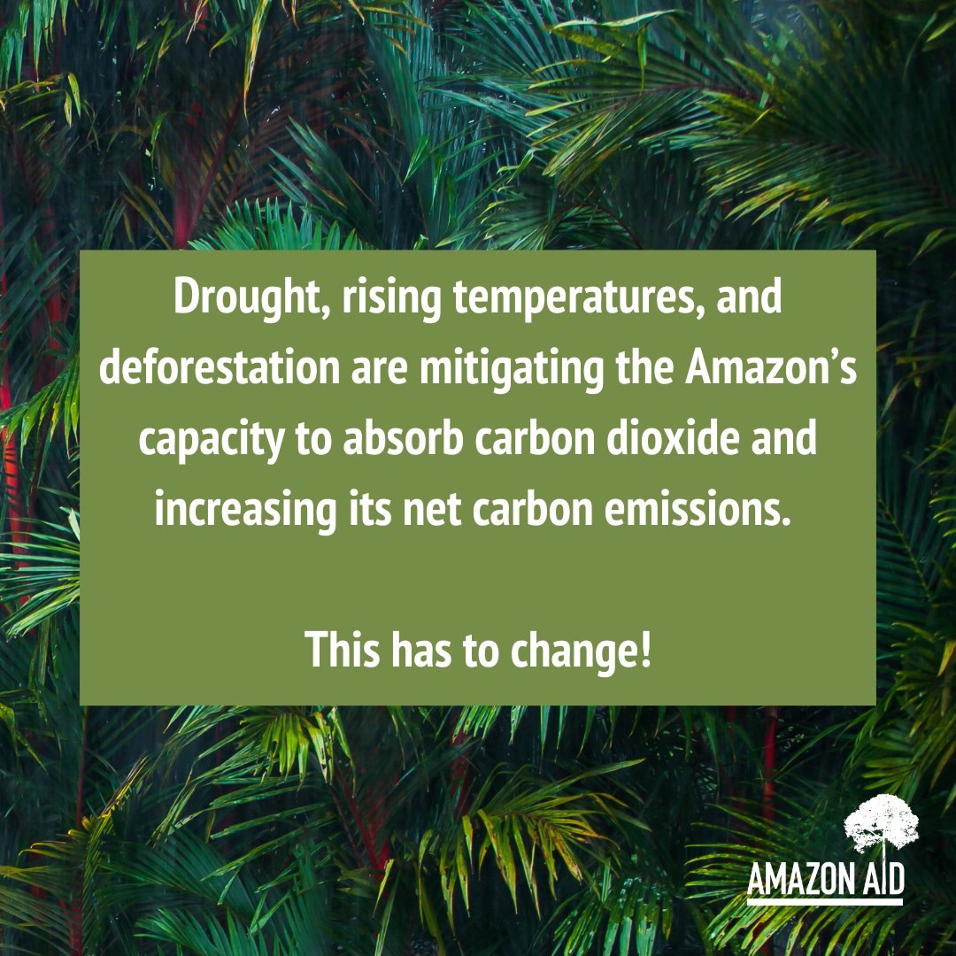 Human-induced climate change, if left unchecked, may soon cause the Amazon to emit more carbon into the atmosphere than it absorbs.

amazonaid.org/why-should-you…