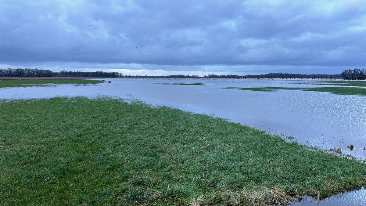 Hoogwater in de Ottershagen en bij de brug over het omleidingskanaal #hoogwater #tilligte #ottershagen #dinkelland