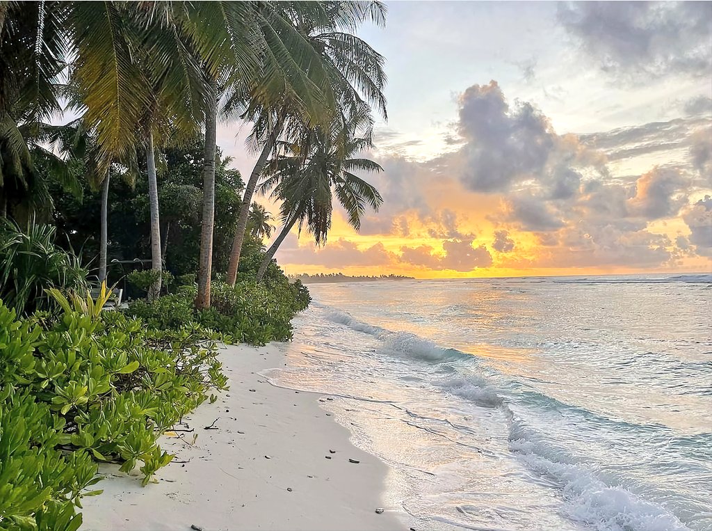 Watch more sunsets than Netflix.
.
. 
.
.
.
.
.
.
.
.
.
#maldivesisland #maldivestrip #visitSmeedhoo #beachvibes #summer #tropicalvibe #tropicalislands #travelblogger #instagood #tropicalvacation #traveltheworld #holiday #love #indianocean #naturephotography #Maldives