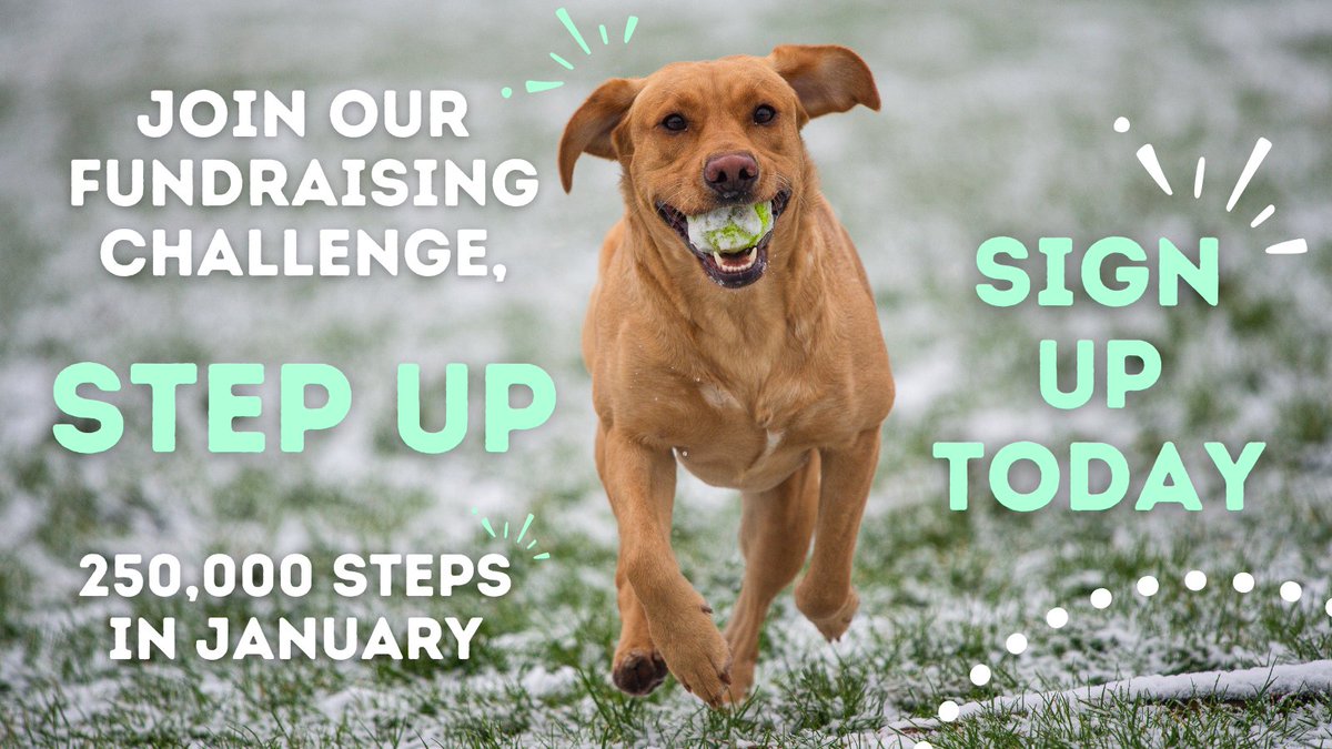 MiscarriageUK's tweet photo. Support the M.A. by taking part in Step Up โ a challenge to complete 250,000 steps in the month. And why not bring your furry friends! ๐ถ๐ฃ
Sign up today โ because every pregnancy loss matters: https://t.co/cdlG7raWsk
#StepUpForTheMA #JanuaryChallenge https://t.co/sOEbbkYA4q