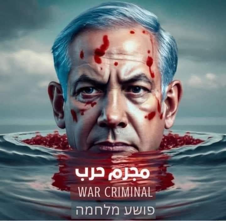 هانى المصرى tweet media