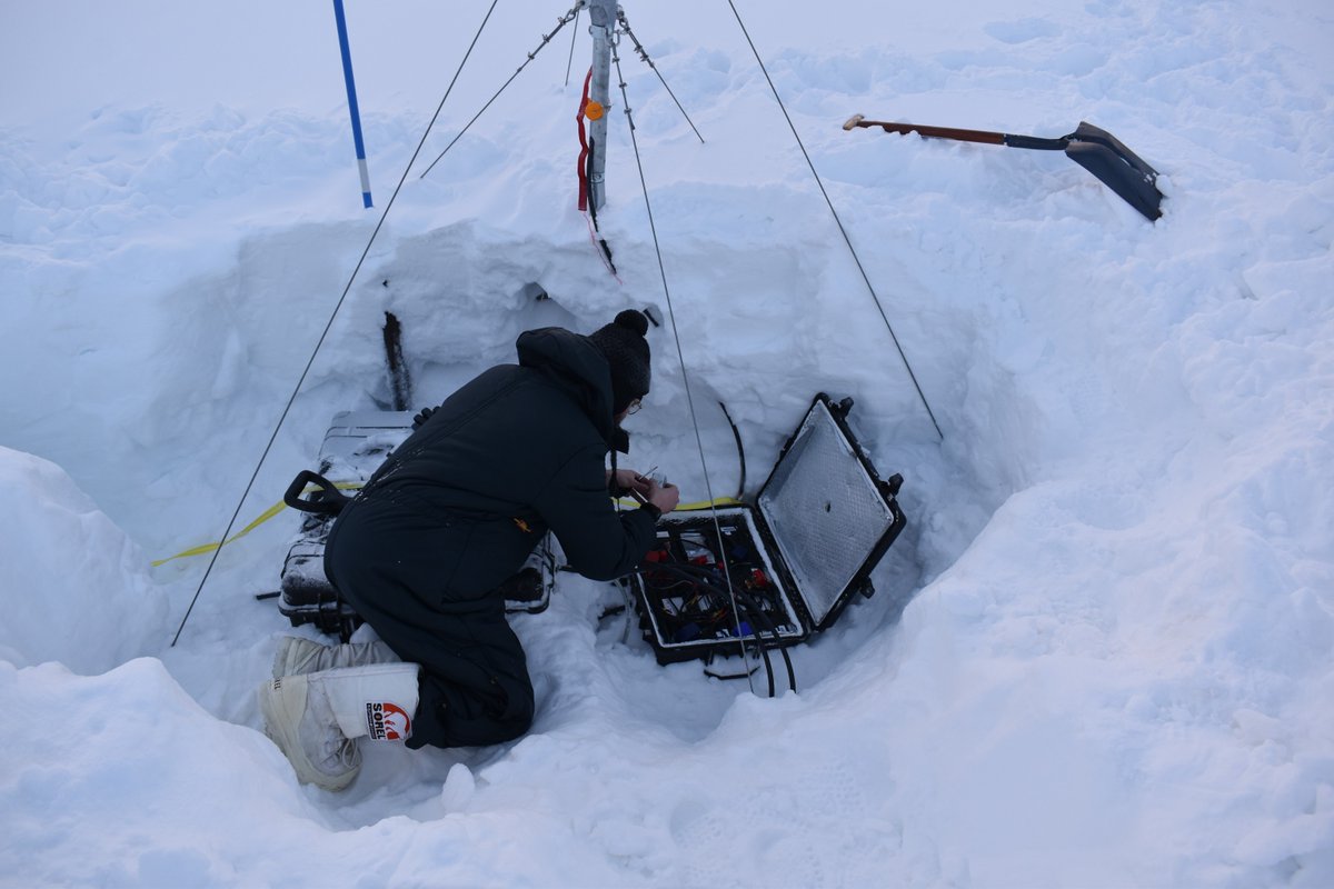 British Geological Survey tweet media