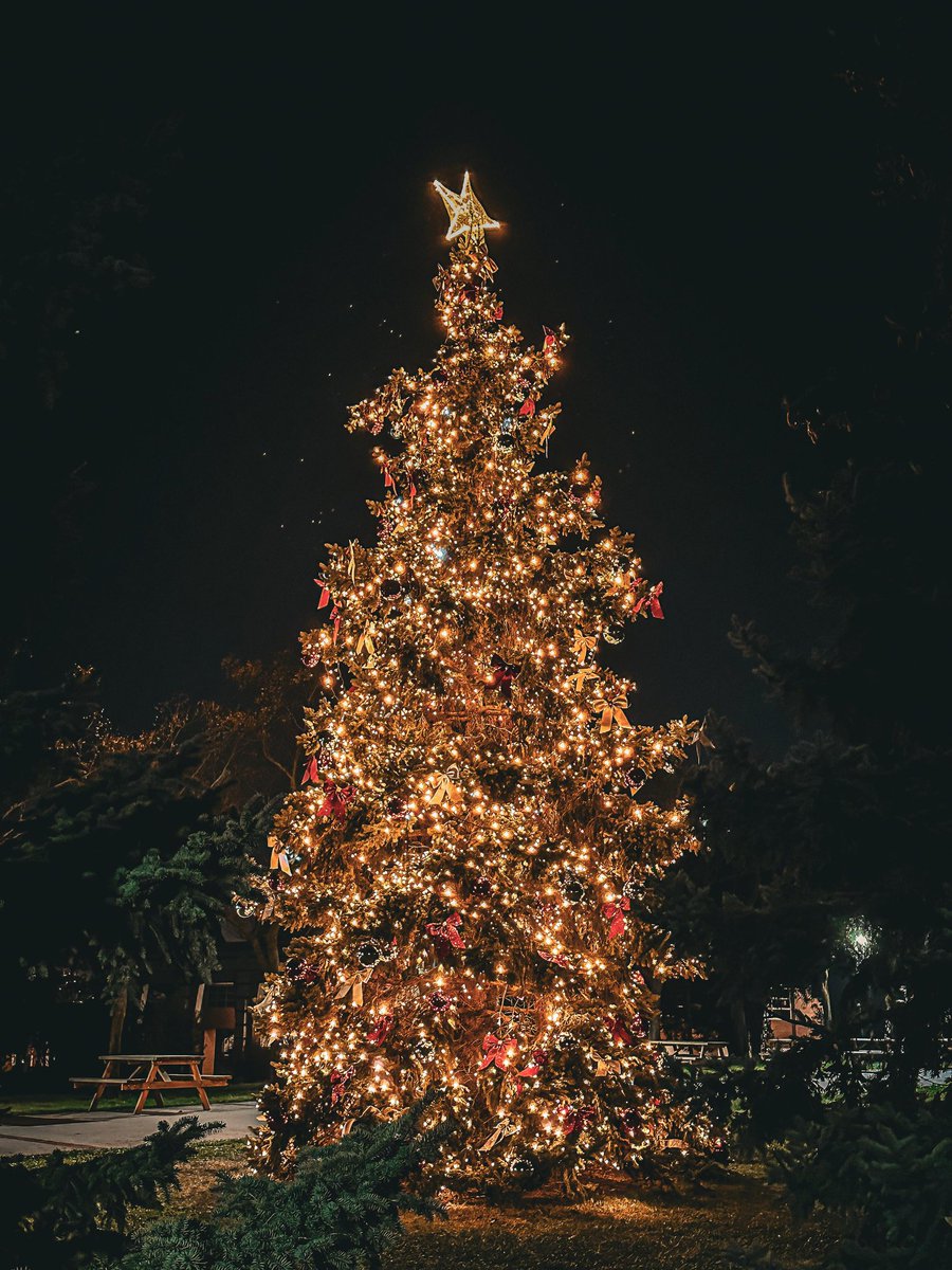 Kampüsümüz ışıl ışıl. ✨🎄 

#SabancıÜniversitesi #TümGücümüzleGeleceğe