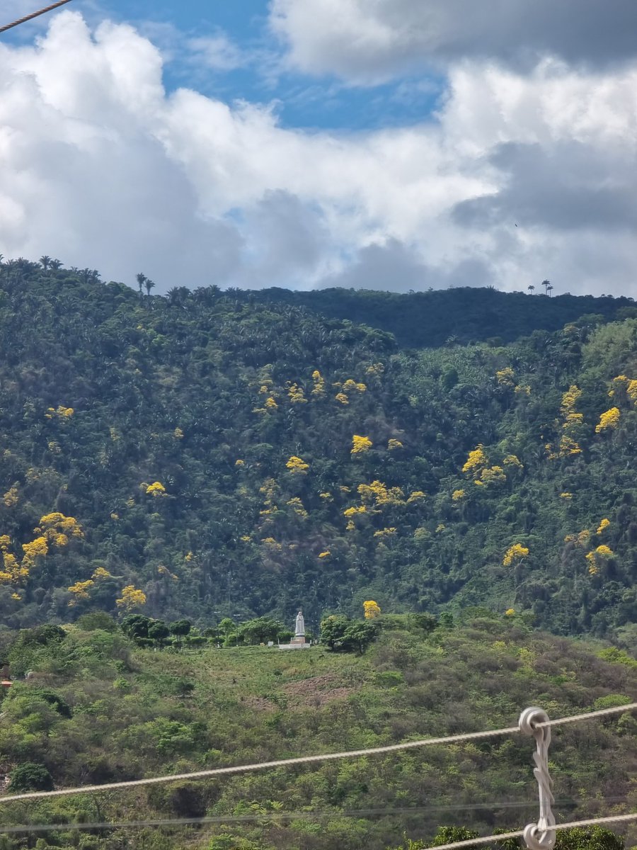 Baturite (@baturite3) on Twitter photo 