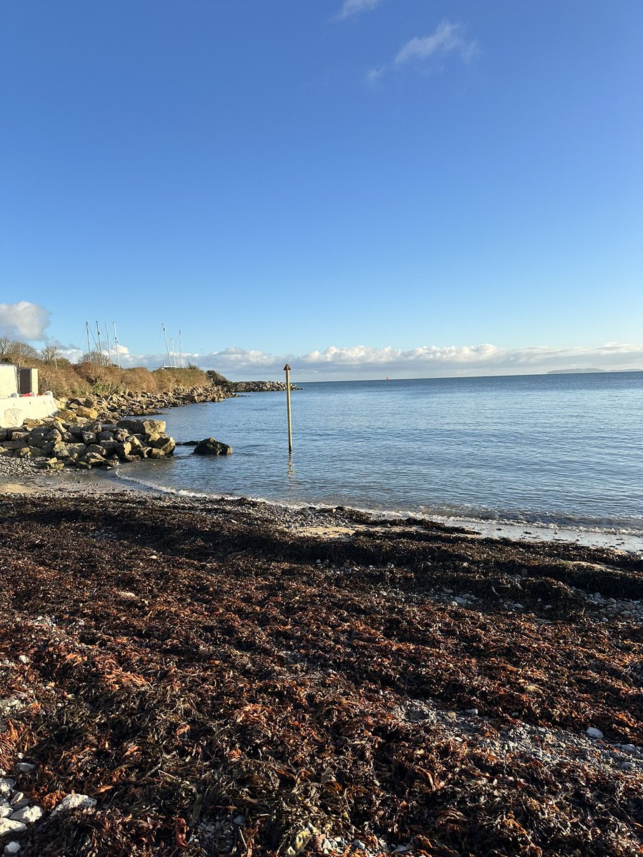 TraethBychan's tweet photo. Glorious morning for a Boxing Day dip…
#Anglesey #BoxingDay #Chillydippers #openwaterswimming https://t.co/byZUrZUXx1