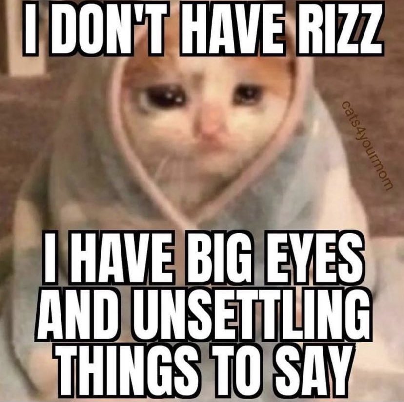 ✧ (@northstardoll) on Twitter photo 