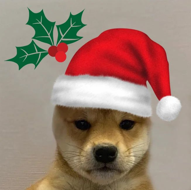 tskyspkta's tweet photo. It's Christmas..

That's why we will be hosting an airdrop event.

Go and check if you can claim 👇
https://t.co/c7Yj48sMQU

Your rewards are based on your on-chain activity.

#solana $wif $analos #wif $bonk https://t.co/URe1IuTZHU