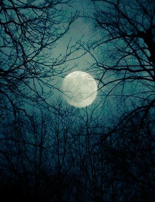 The last Full Moon of the year occurs on the 26th December

Known as the #ColdMoon or #LongNightMoon because it occurs near the #WinterSolstice, the longest night of the year

#BoxingDay #FullMoon