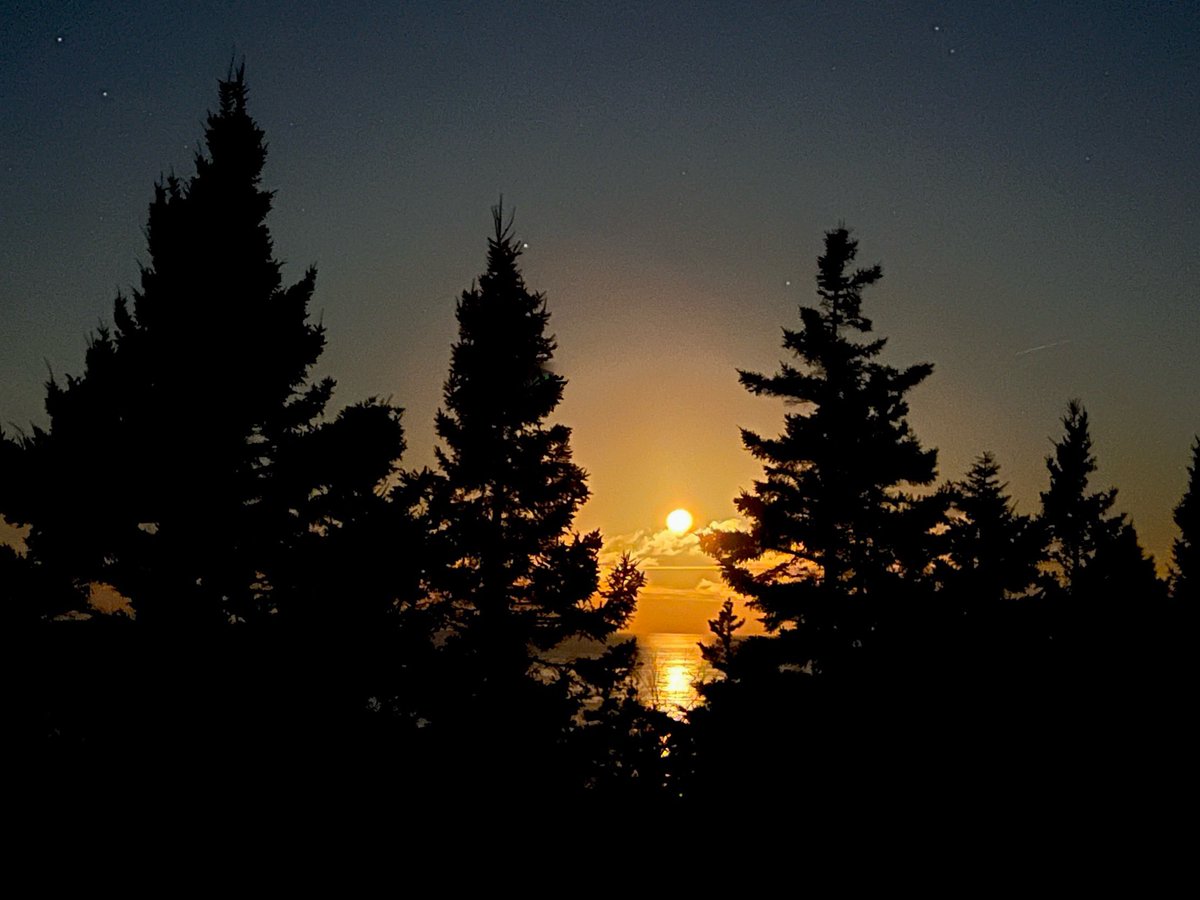 Beautiful golden moonset early Christmas morning. #bayoffundy