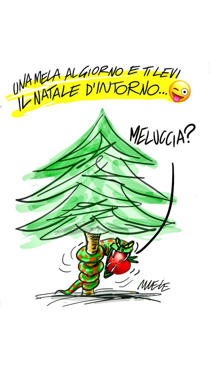 #natal #Natale #Natal2023 #bastaNatale