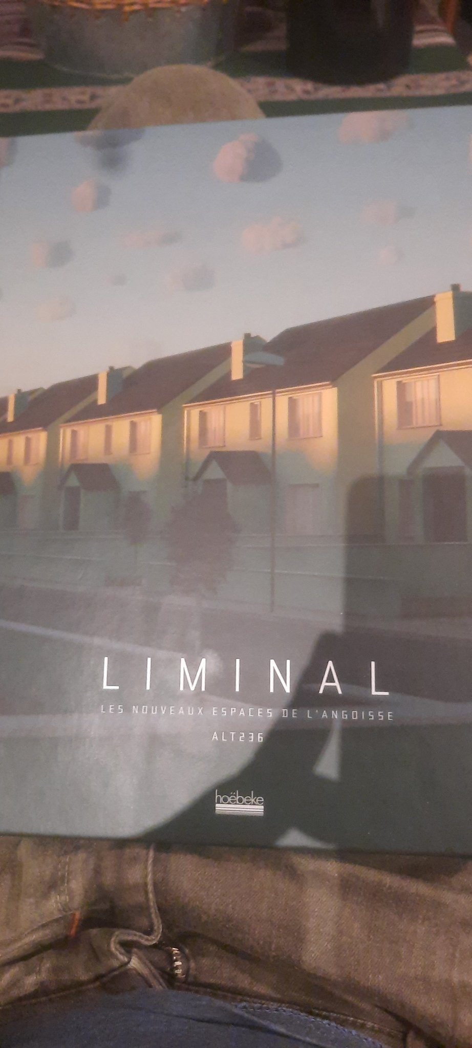 ALT236 BOOK /// LIMINAL [Les nouveaux espaces de l'angoisse] 