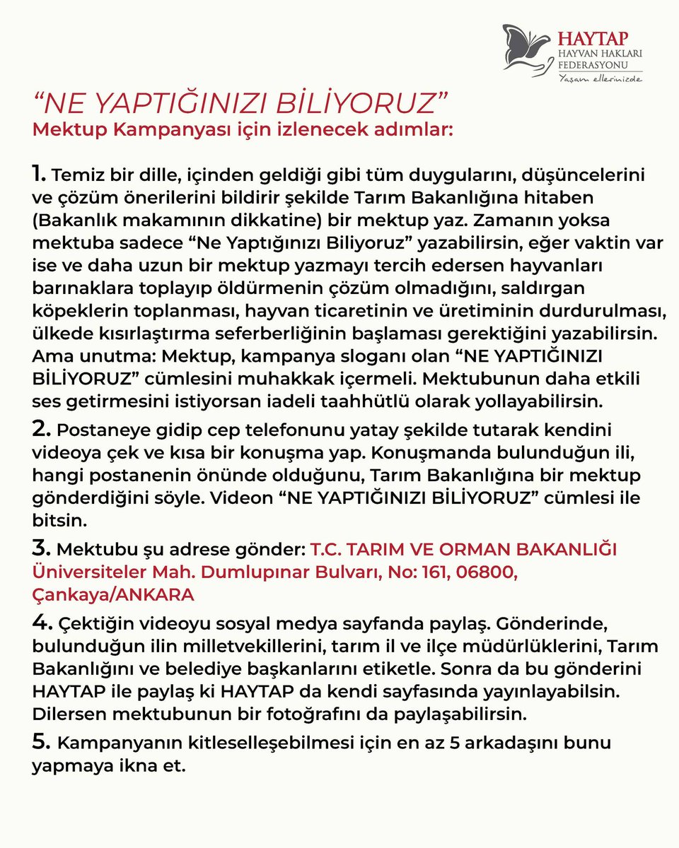 Haytap (@haytapofficial) on Twitter photo 