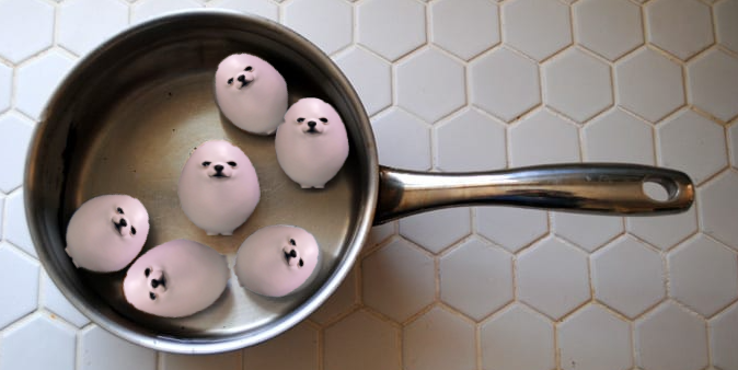 Myhstery's tweet photo. Yo who's letting him cook $egg https://t.co/xiBgiaQ9sK