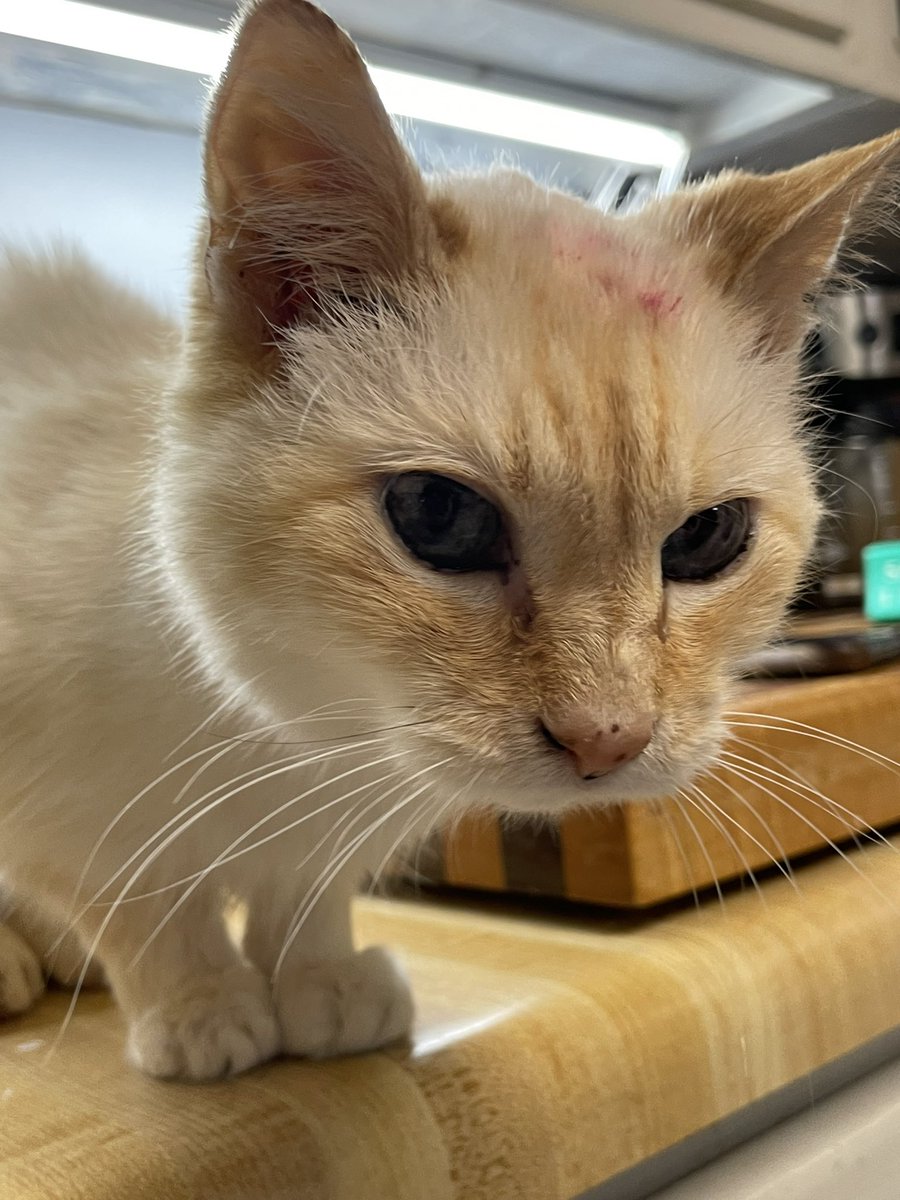 jilly!!! (@jillyaaaaa) on Twitter photo 