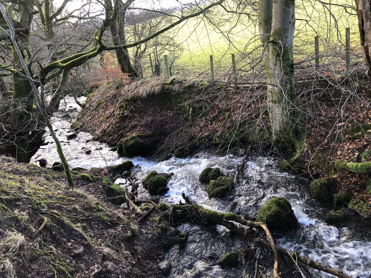 DanielaSime's tweet photo. Nothing like a post Christmas walk to breathe in the crisp winter air and clear the mind #MerryChristmas #WinterSolstice #Scotlandinwinter https://t.co/SYAbynpULy