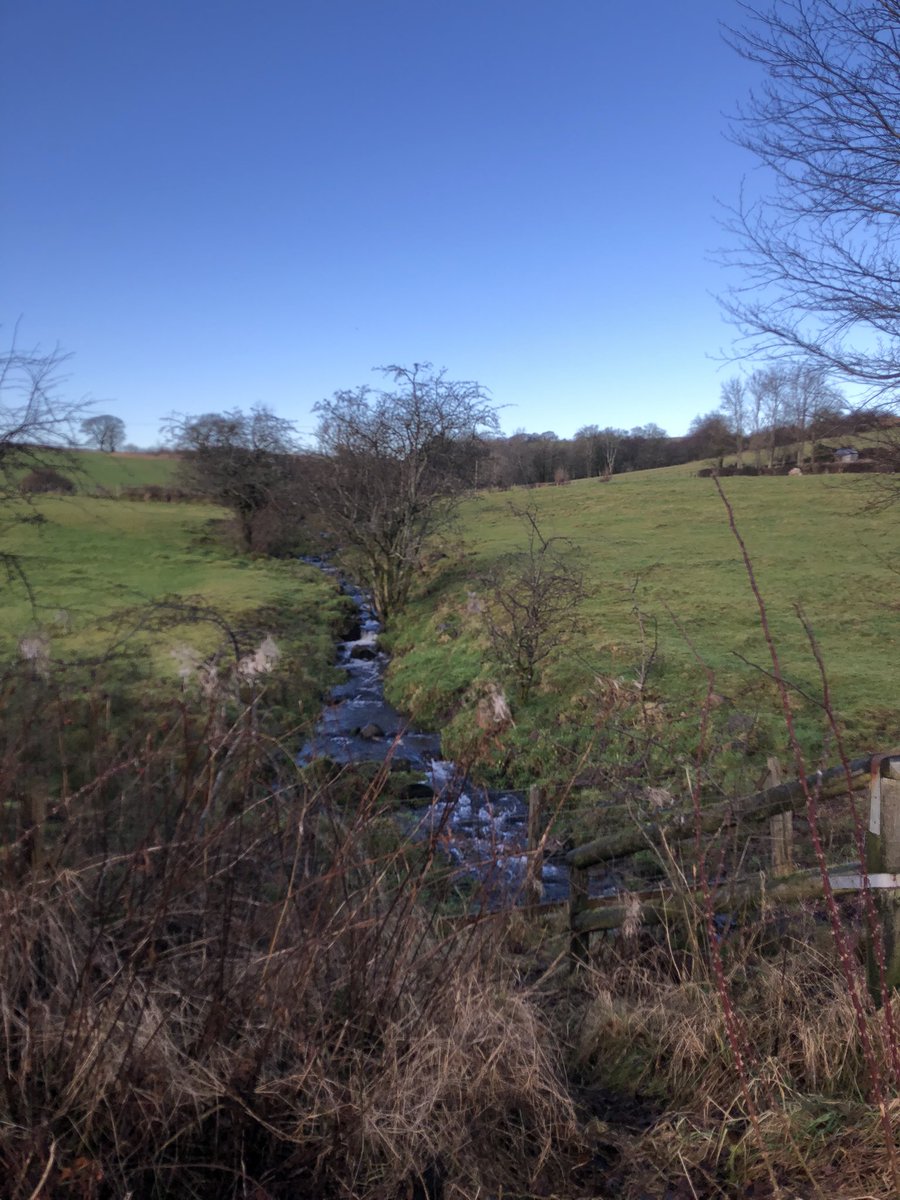 DanielaSime's tweet photo. Nothing like a post Christmas walk to breathe in the crisp winter air and clear the mind #MerryChristmas #WinterSolstice #Scotlandinwinter https://t.co/SYAbynpULy