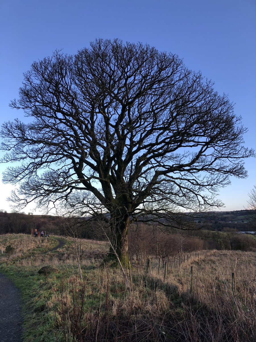 DanielaSime's tweet photo. Nothing like a post Christmas walk to breathe in the crisp winter air and clear the mind #MerryChristmas #WinterSolstice #Scotlandinwinter https://t.co/SYAbynpULy