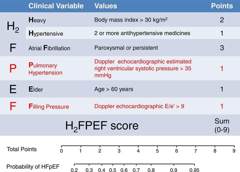 The Role of Echocardiography in Heart Failure with Preserved Ejection Fraction: What Do We Want from Imaging?

europepmc.org/article/pmc/pm…
 #CardioTwitter #cardiology #CardioEd #MedEd #2023Review #ReviewArticle