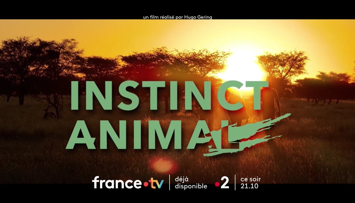 Soldatdesmedias's tweet photo. Ce soir à 21h10 sur #France2, inédit, #InstinctAnimal avec @TheDiegoBunuel, @CrosmaryPerrine et @gilalma. https://t.co/ugTkDdrmhz