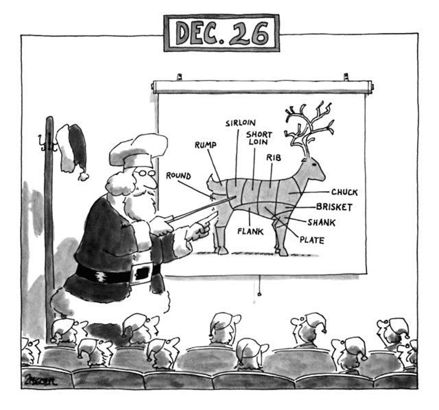 #MerryChristmas #BoxingDay #RunRudolph