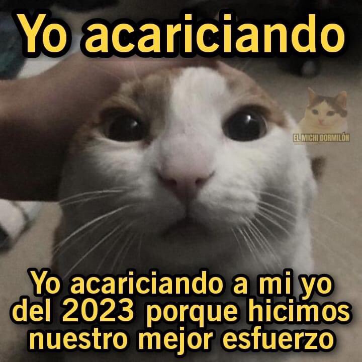 nacional_memes's tweet photo. 🐱 https://t.co/hGPTr3ctyU