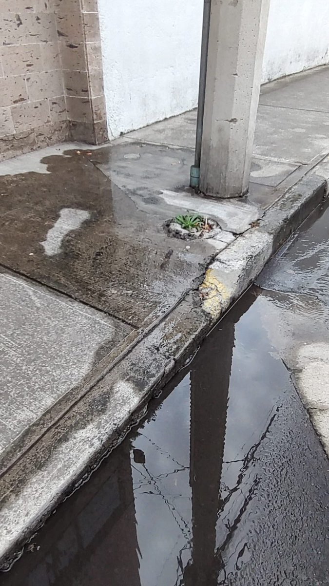 @SacmexCDMX <a href="/GobCDMX/">Gobierno de la Ciudad de México</a> l#@locatel_mx <a href="/AccionesBJ/">Acciones BJ</a> reporte de fuga de agua. Urge se atienda Pffffff!!!! Hay colonias sin agua. Debe haber personal aunque sean vacaciones!!!